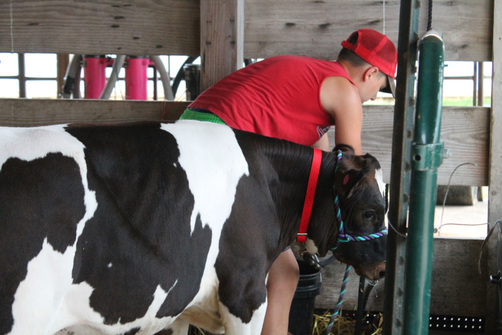 DC Fair Tuesday 027.JPG
